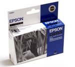 Epson T0481  (C13T04814010) black